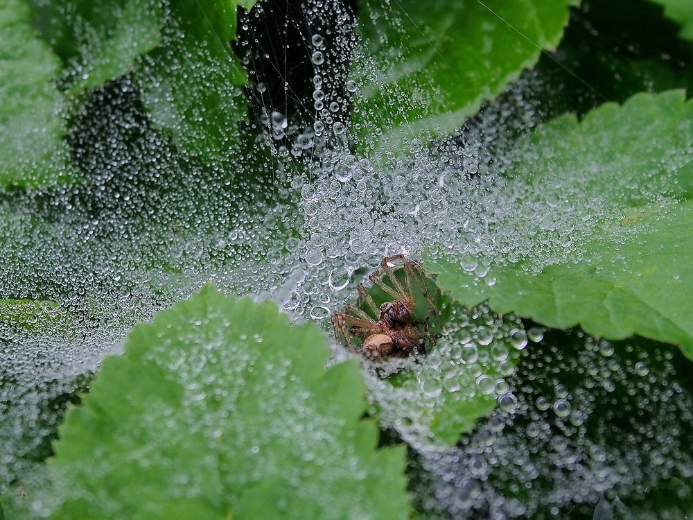 Photograph by Елена Харитонова