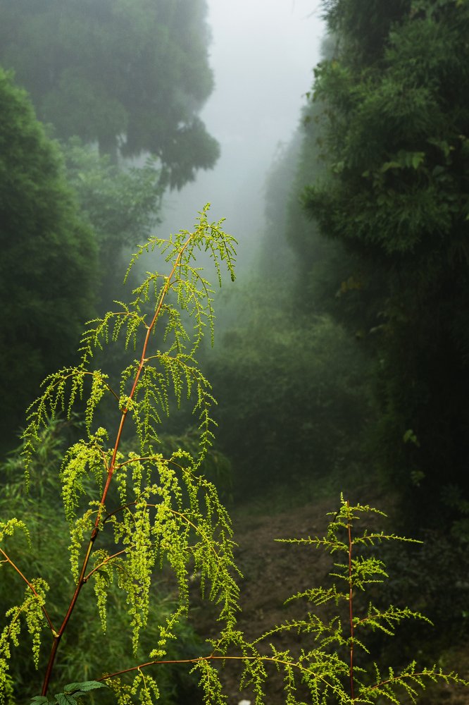 Photograph by Susnata majumder