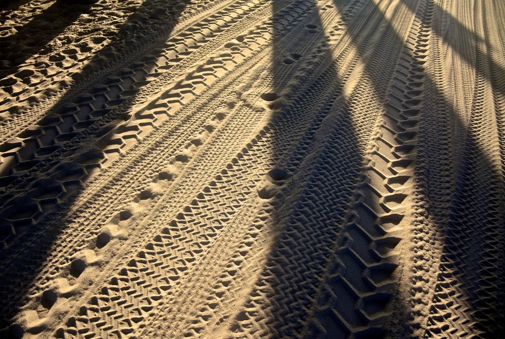 Фотография автора Bachir Badaoui