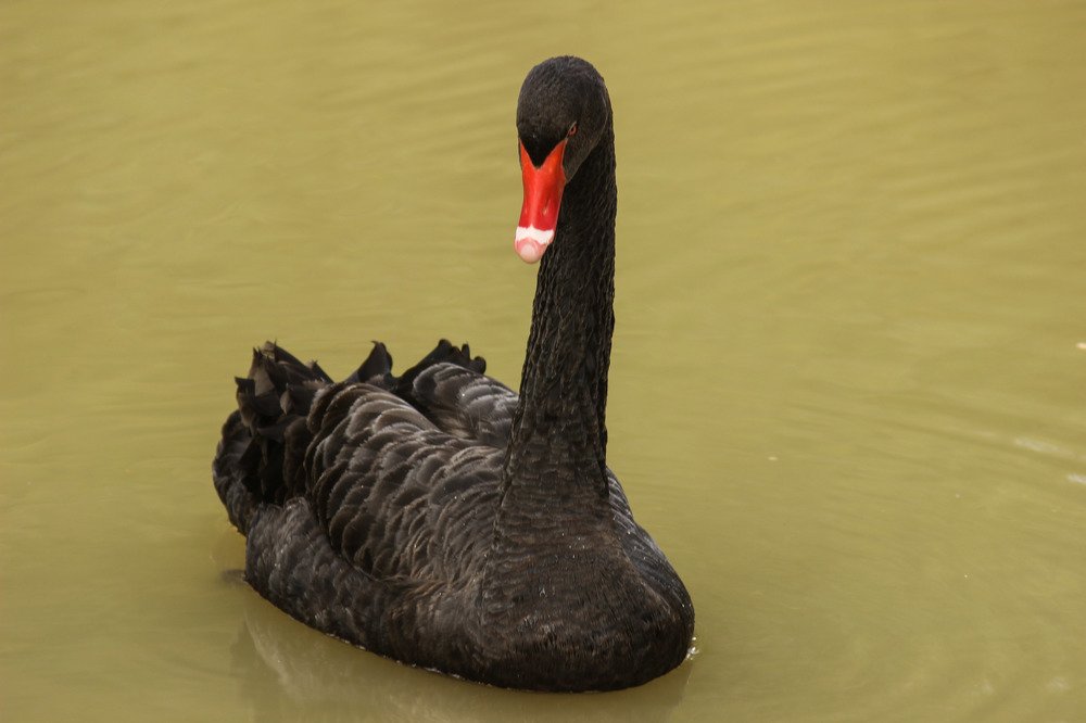 Фотография автора Марина Иванова