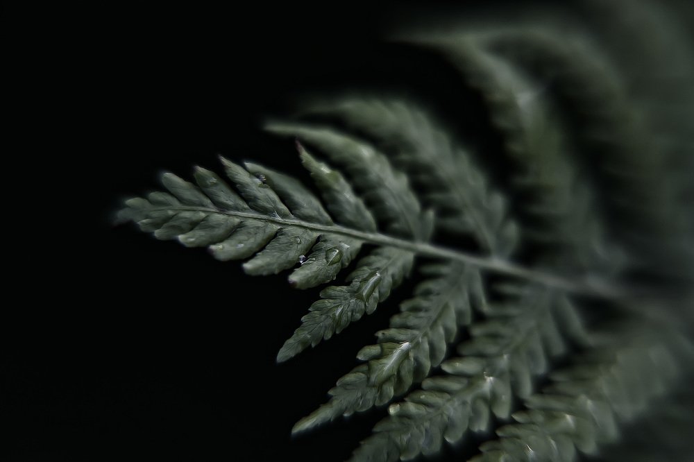 Photograph by Татьяна Мазок