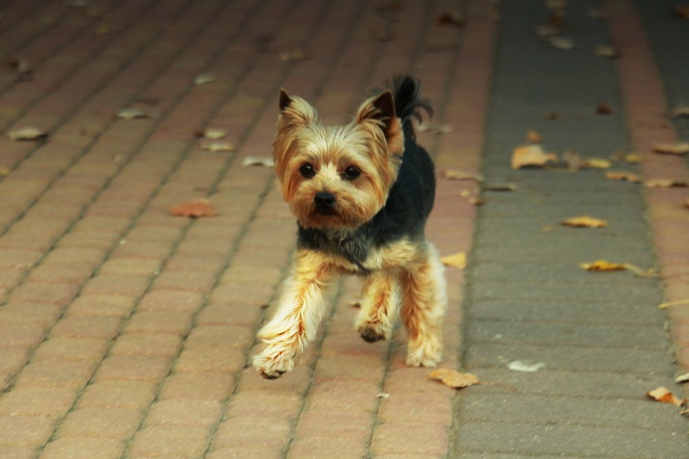 Photograph by Валерий Козуб