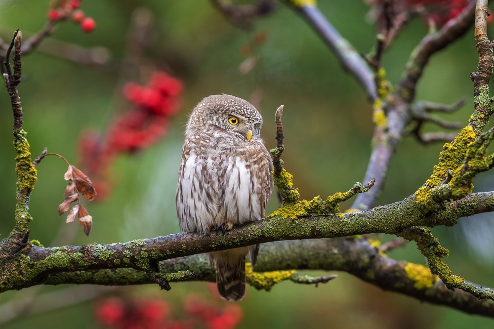 Photograph by Власов Егор