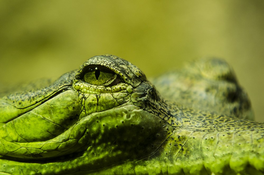 Photograph by Lucie Krošová