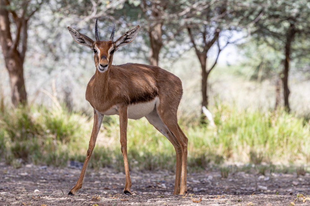 Photograph by Игорь Калинин