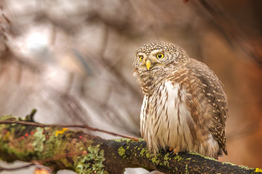 Photograph by Власов Егор