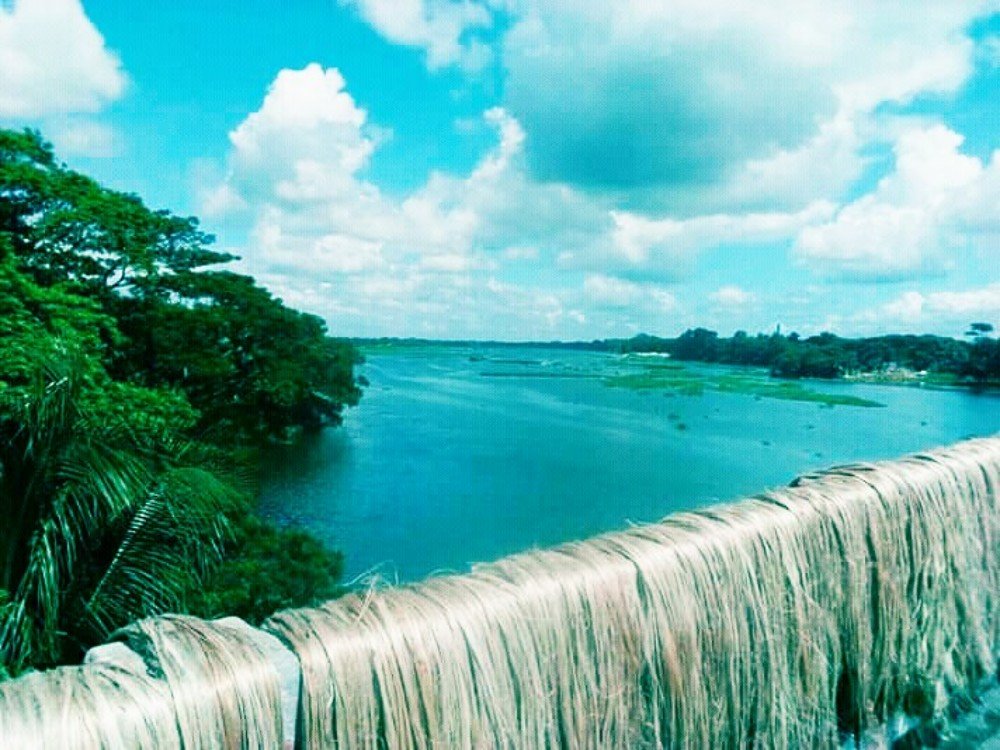 Фотография автора MD.Shipon Hossain