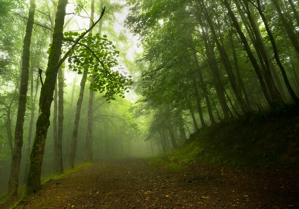 Photograph by Riahi Hosein