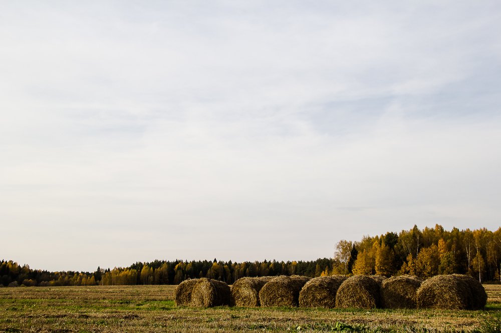 Поле и тюки соломы
