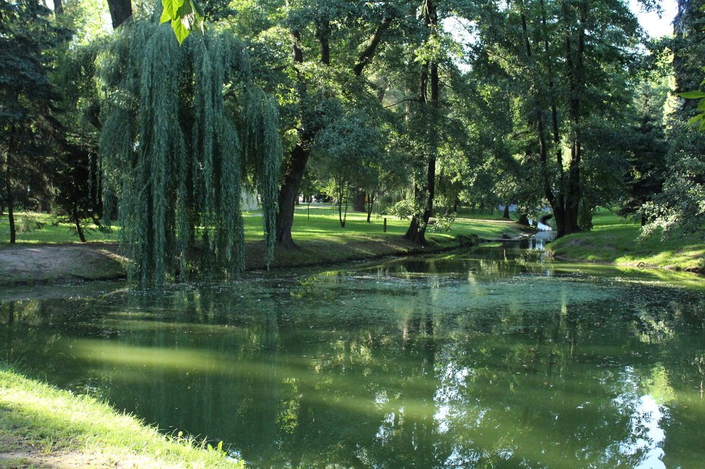 Photograph by Кристина Шоба