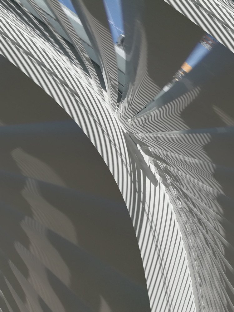 Готика № 2. Своды собора.