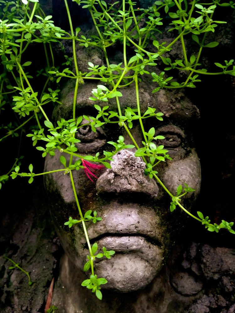 Photograph by (Sakib) S.M.Al Muztaba Rosul