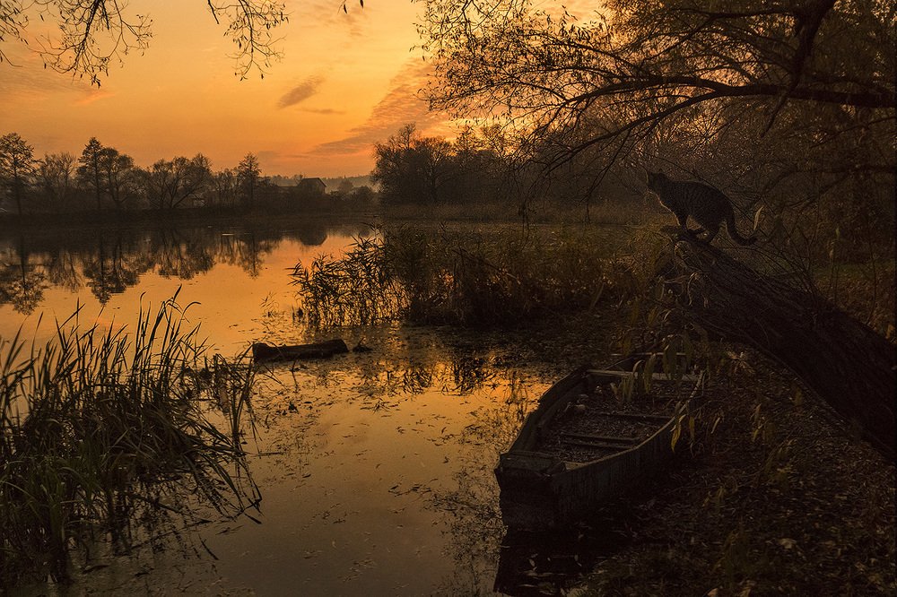 Photograph by Павел