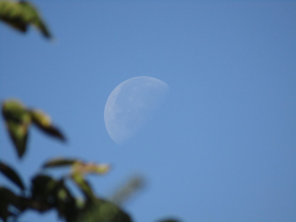 Photograph by Darko Milojevic