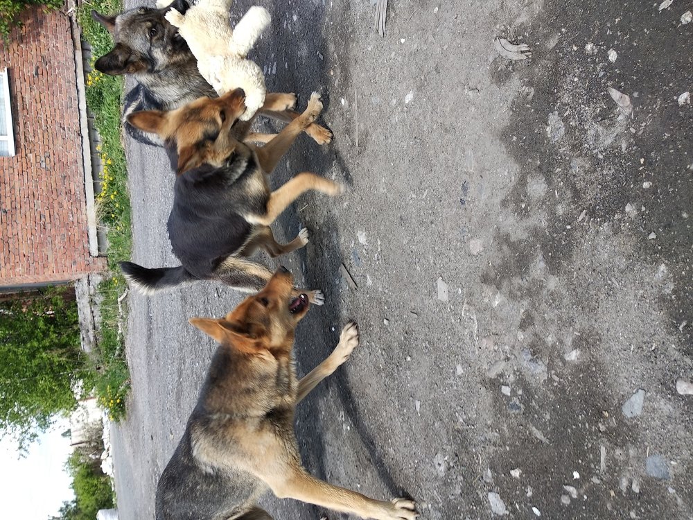 Photograph by Ирина Саттарова