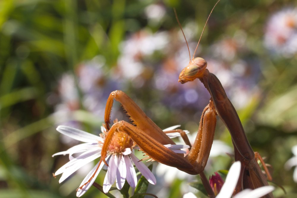 Photograph by Алексей Тимофеев