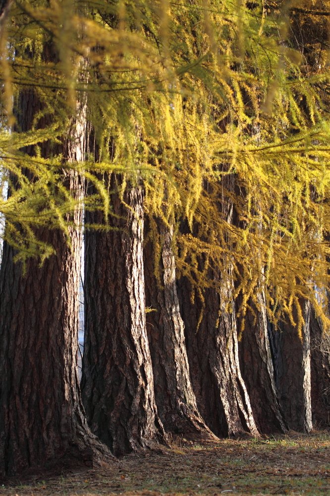 Photograph by Сергей Ножнин