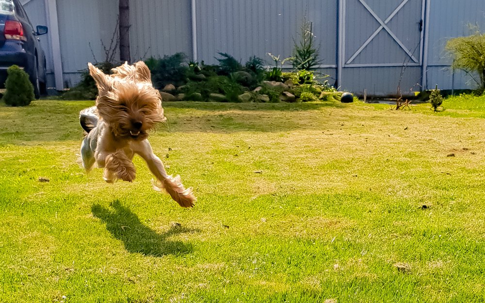 Photograph by Валерия Генрисова