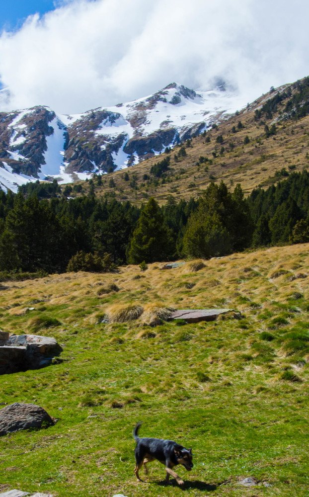 Фотография автора Fernando