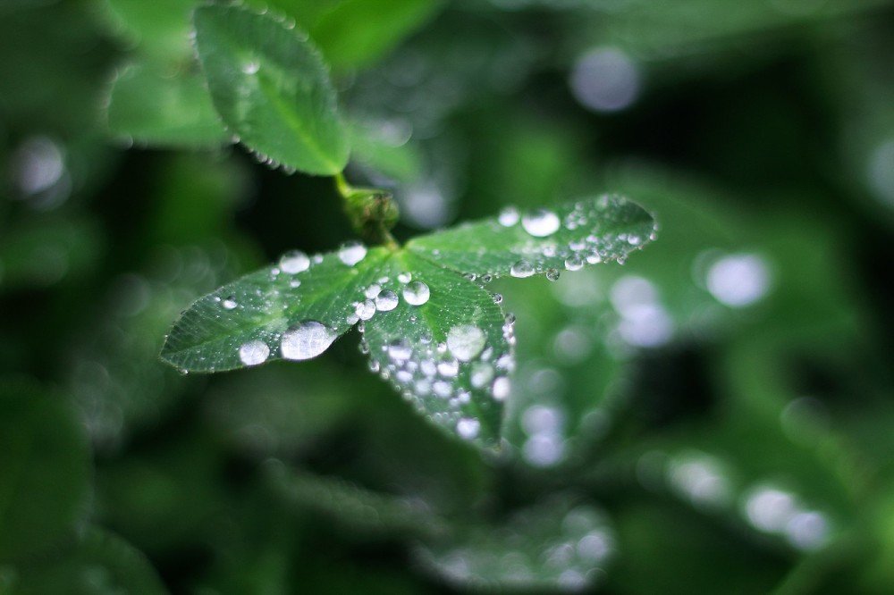 Photograph by Татьяна Тимофеева