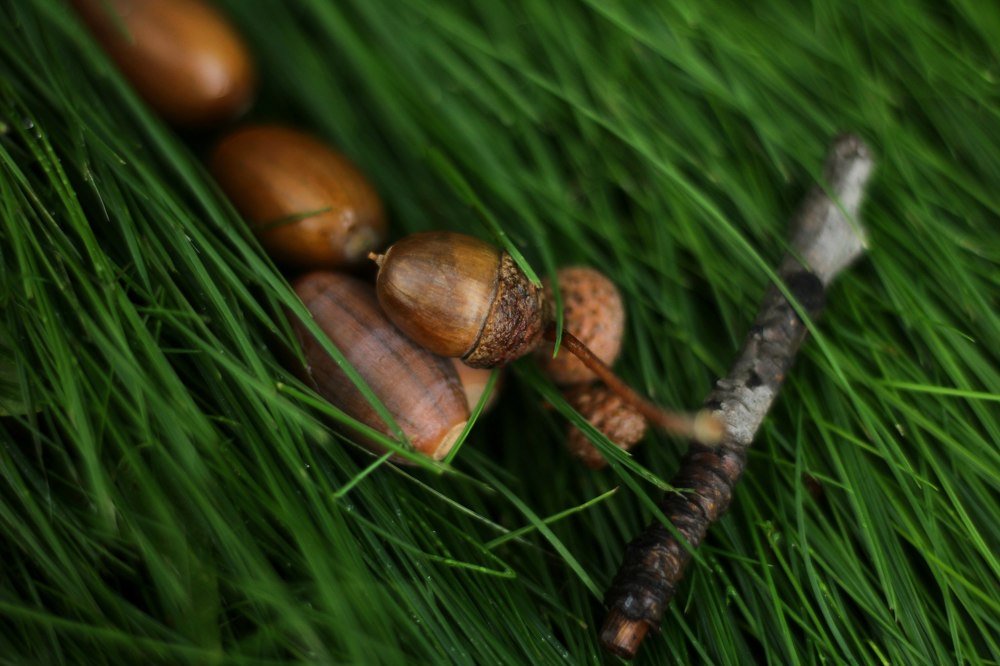 Photograph by Татьяна Тимофеева