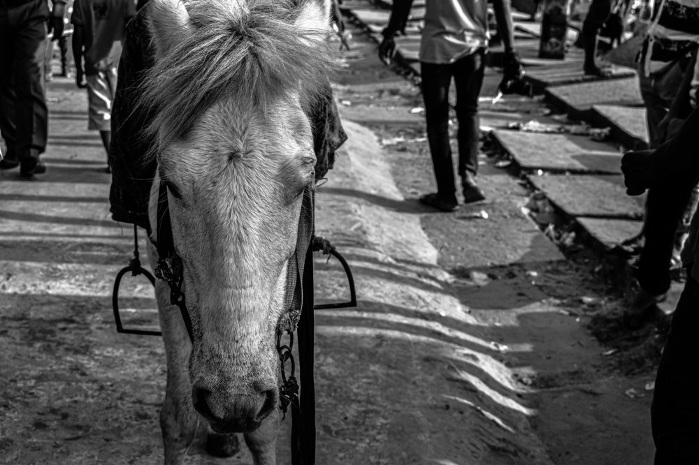 Фотография автора Mahbuba Afroz Samia