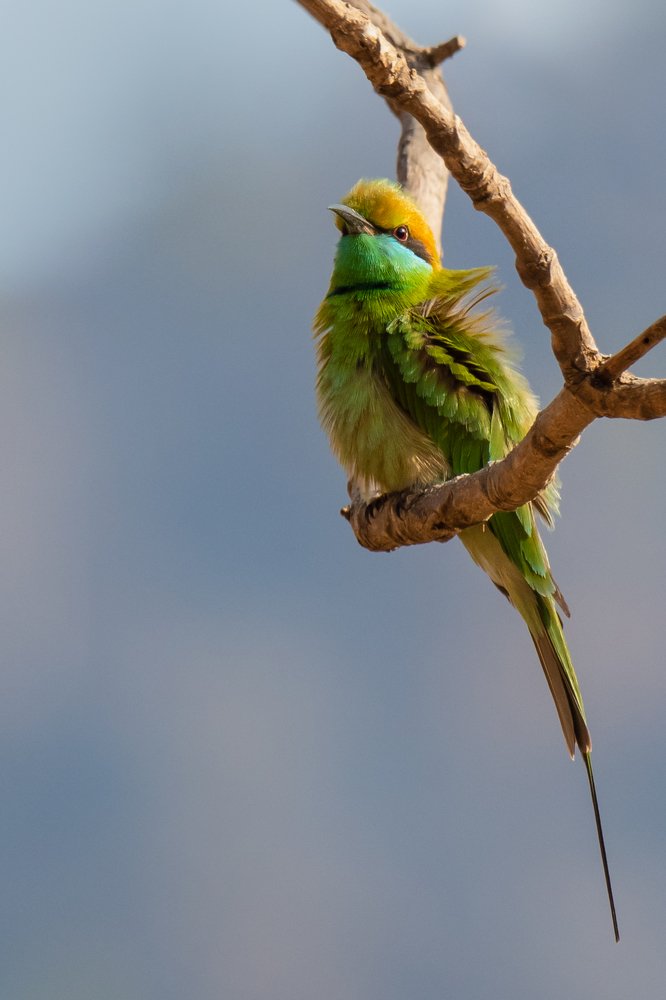 Photograph by Suman Paul