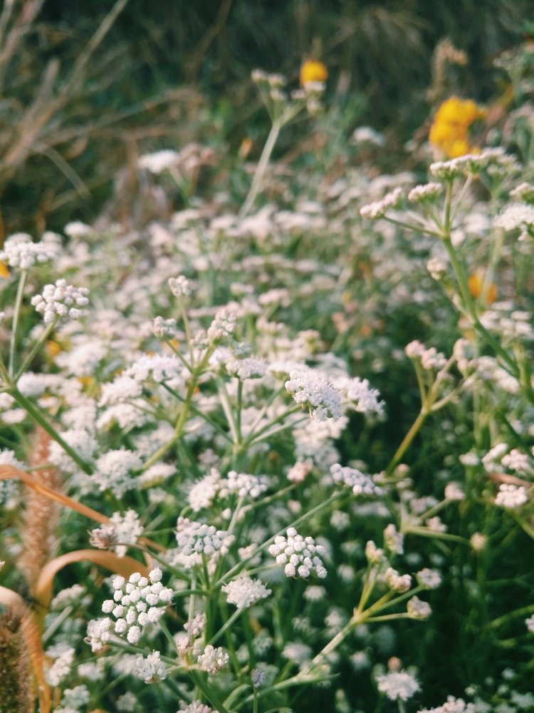 Photograph by Полина Попова