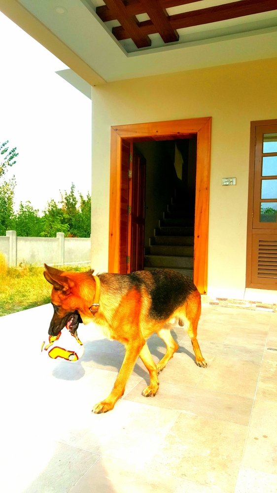 Photograph by sohail abbas gama gama