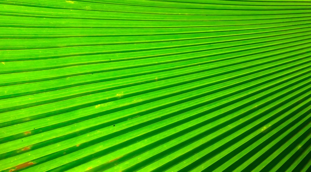 Green colour