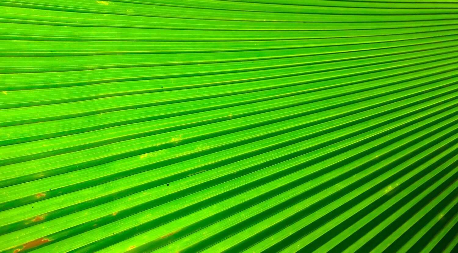 Green colour