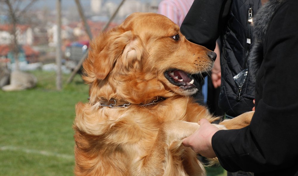 Photograph by Gordana Nikolovska-Dimeska