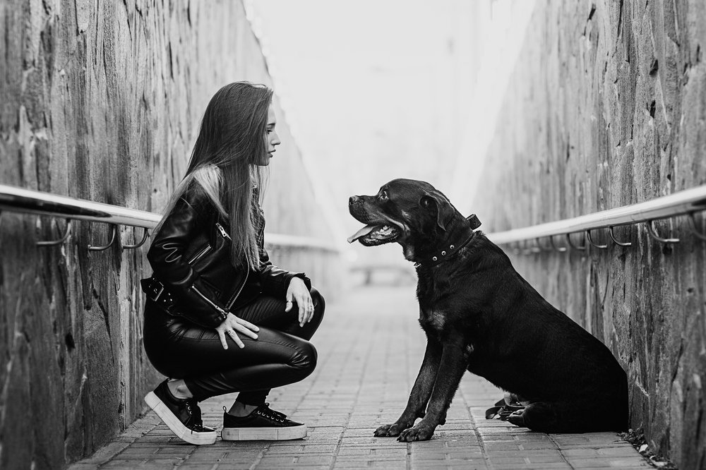 Photograph by Вера Поспелова