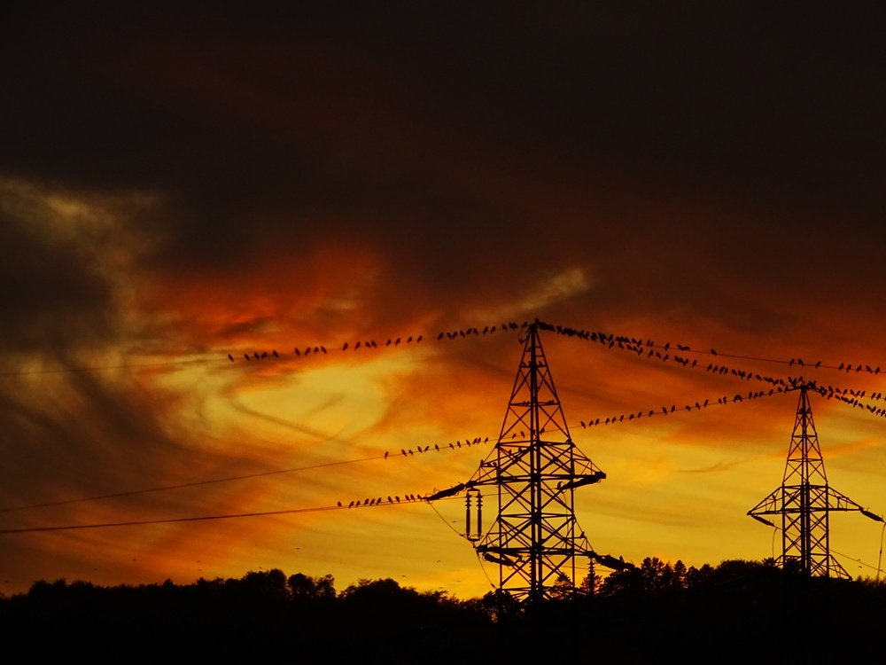 Фотография автора Remus Lucescu