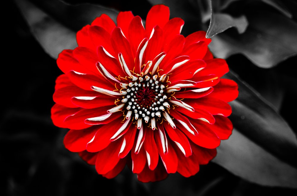 Photograph by Денис Белов