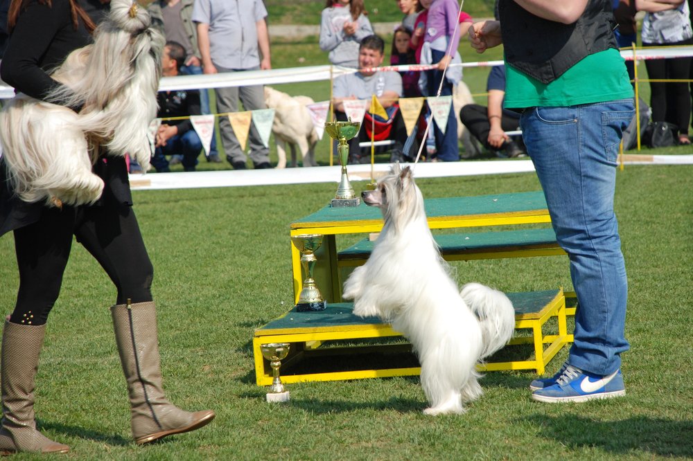 Photograph by Gordana Nikolovska-Dimeska