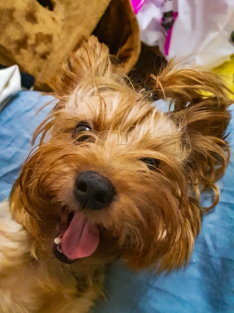 Photograph by Валерия Генрисова