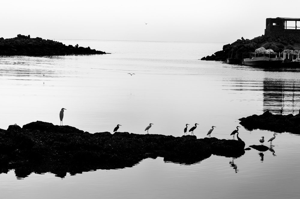 Photograph by Amir Masoud Arabshahi