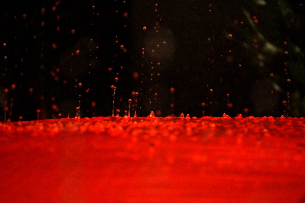 "Faking the Gravity "