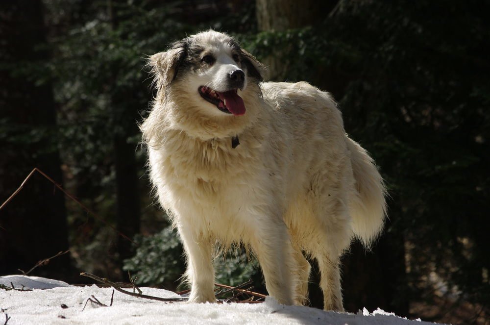 Photograph by Damir Gržin