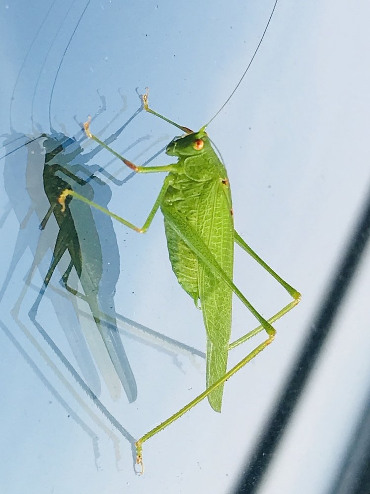 Photograph by Marilena Dragoslavic