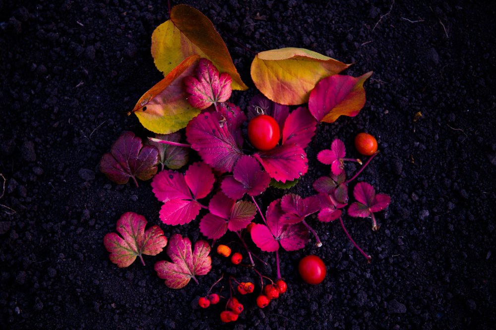 Photograph by Валентина Широбокова