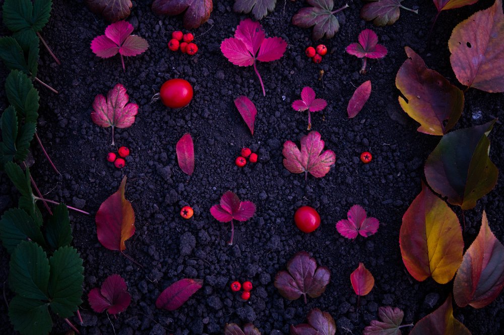 Photograph by Валентина Широбокова