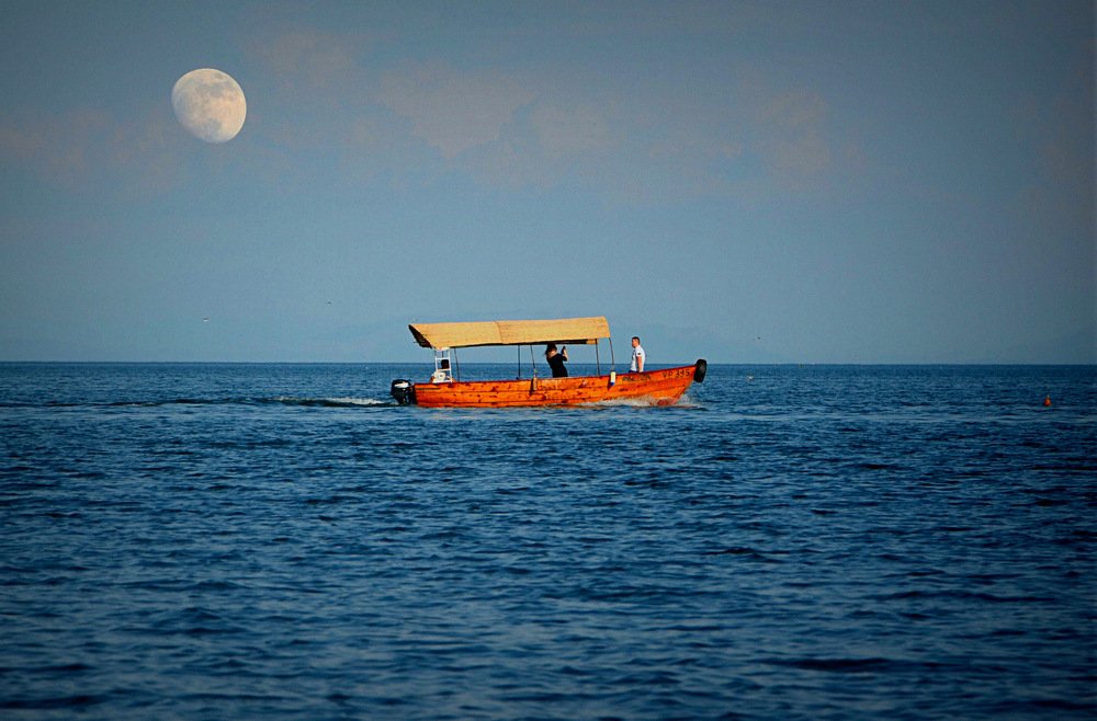 Фотография автора Jadranka Mamić