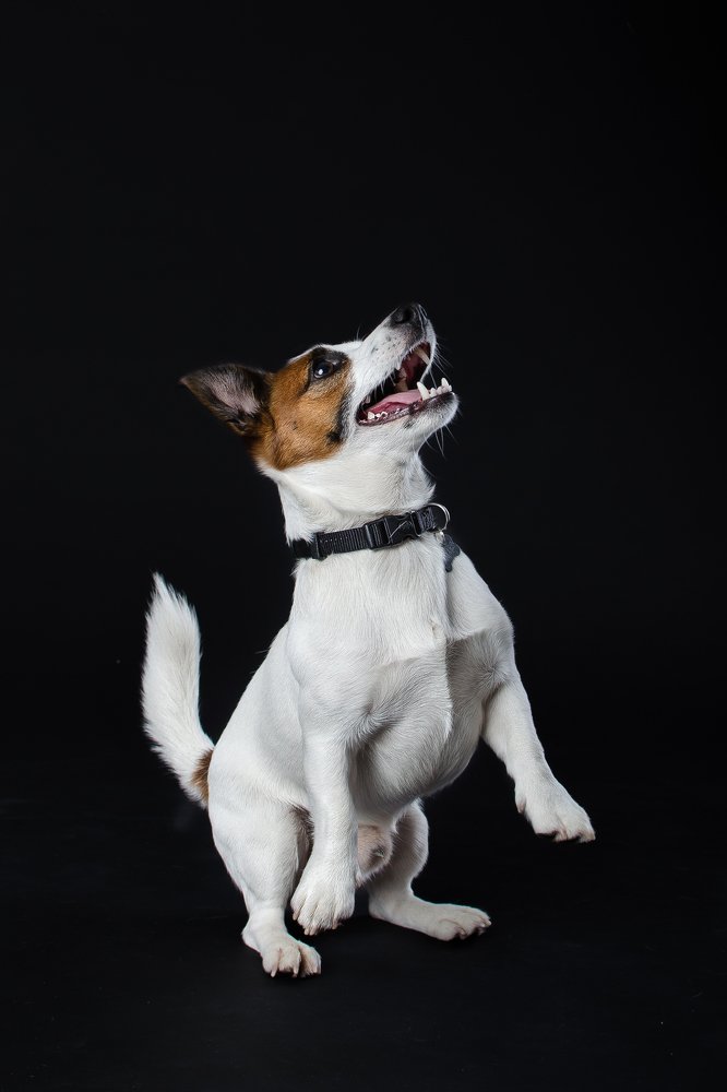 Photograph by Aleksandra Patenko