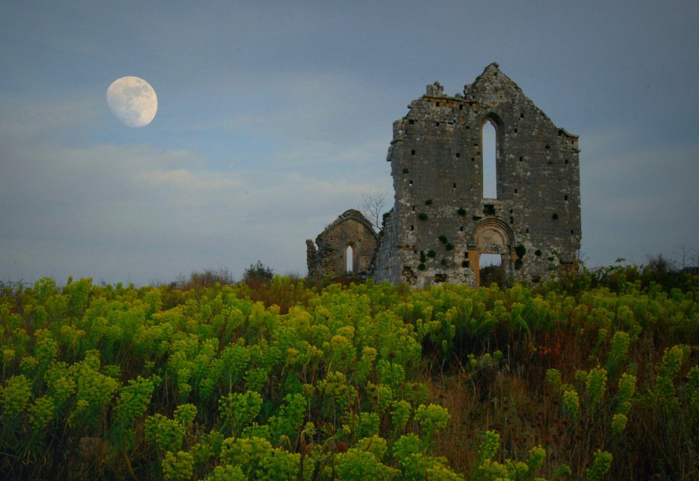 Фотография автора Jadranka Mamić