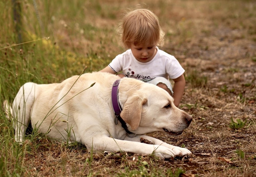 Photograph by Olga Kimerling