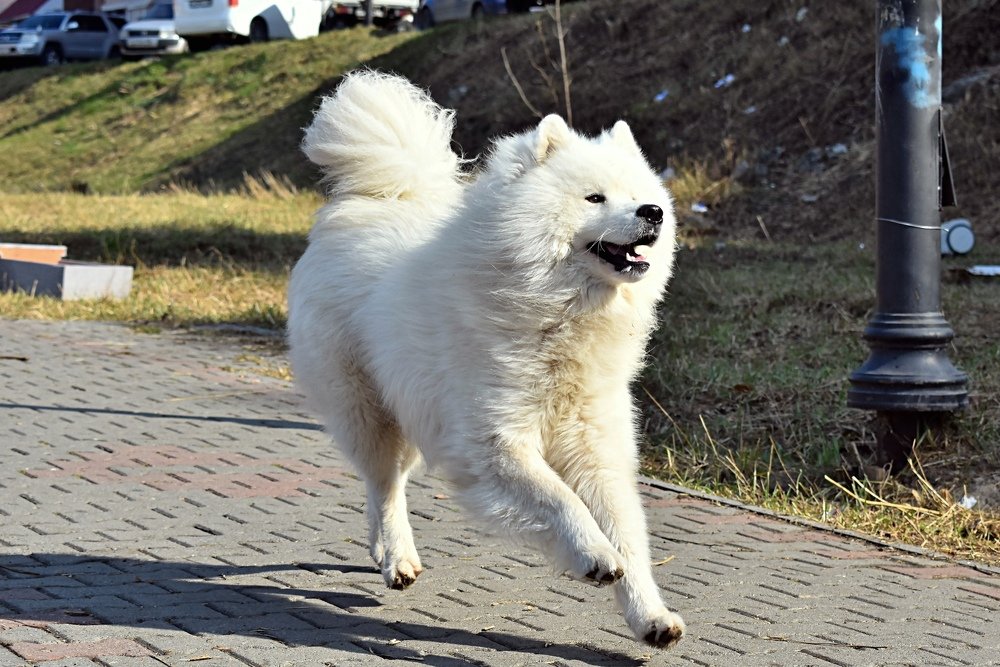 Photograph by Светлана Титова