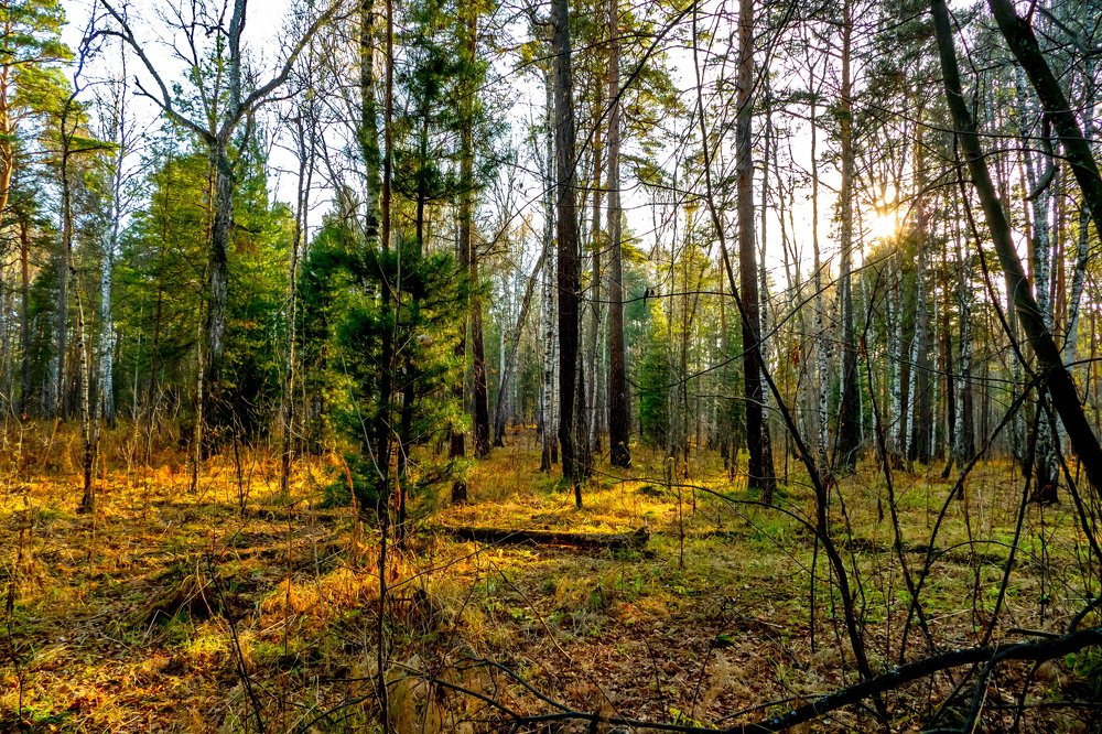 Photograph by Олег Русинович