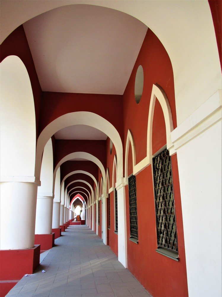 Фотография автора Елена